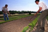 Institut des Métiers de la Nature, du Jardin et du Paysage - IMNJP